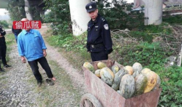 汾阳吃瓜最新事件爆料视频,最新爆料视频揭秘惊人内幕